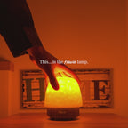 The Havie Lamp | Night Light & Noise Machine